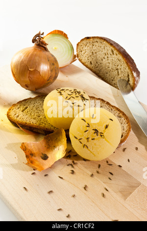 Traditionelle Speisen der Frankfurt, deutsche Hand Käse oder Harzer Käse mit Kümmel, Zwiebeln und Schwarzbrot Stockfoto