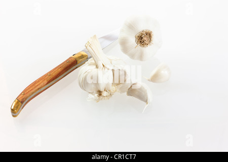 Knoblauch (Allium Sativum) mit Messer Stockfoto