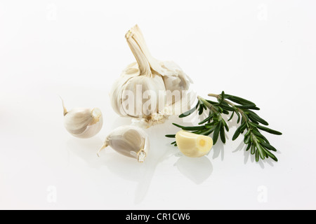 Knoblauch (Allium Sativum) und frischer Rosmarin (Rosmarinus Officinalis) Stockfoto