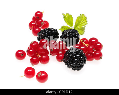 Beeren, Johannisbeeren, Himbeeren, Brombeeren Stockfoto