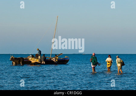 Madagaskar, ehemalige Provinz Toliara, Atsimo Andrefana Region, Süd-West-Küste, Toliara (Tulear), Hafen Stockfoto