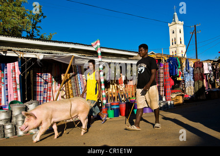 Madagaskar, ehemalige Provinz Toliara, Atsimo Andrefana Region, Süd-West-Küste, Sakaraha, Markt Stockfoto