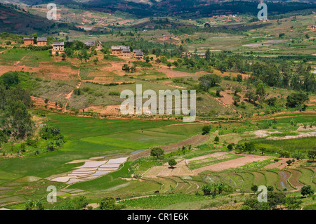Madagaskar, Hochland, ehemalige Provinz von Fianarantsoa, Haute Matsiatra Region auf dem Weg zur Soatanana, Dorf mit Stockfoto