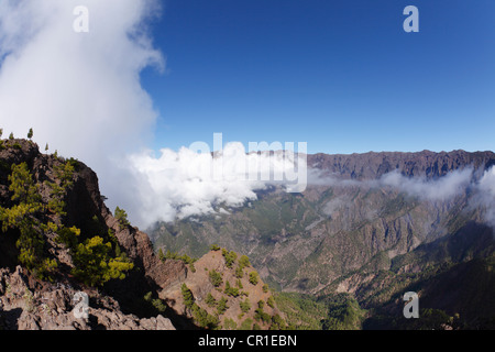 Pico Bejenado, Nationalpark Caldera de Taburiente, La Palma, Kanarische Inseln, Spanien, Europa Stockfoto