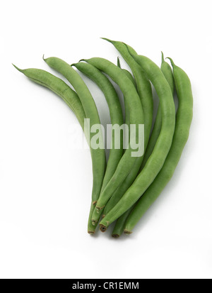 Frische grüne Bohnen auf weißem Hintergrund Stockfoto