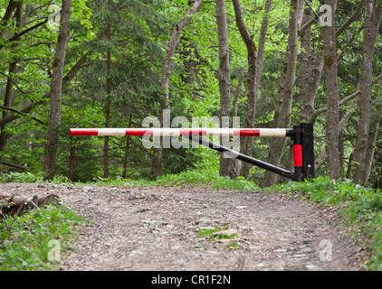 Die Barriere versperrt den Weg in den Wald Stockfoto