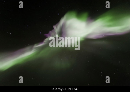 Nordlichter (Aurora Borealis) bilden eine Corona in den Himmel, Þingvellir, Island, Europa Stockfoto