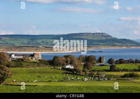 Blick über Greencastle auf Inishowen Halbinsel, County, Irland, mit Magilligan Point und Binevenagh Berg in Derry in der Stockfoto