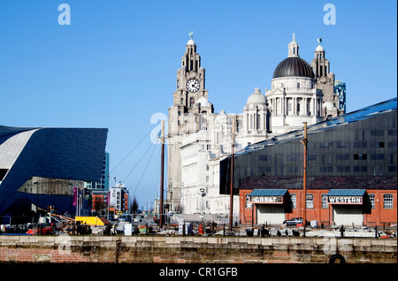 Leber Gebäude betrachtet aus Liverpool Albert Dock Stockfoto