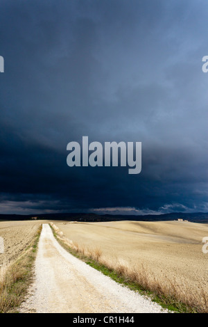 Felder im Herbst unter Pienza, in der Nähe von Montepulciano, Toskana, Italien, Europa Stockfoto