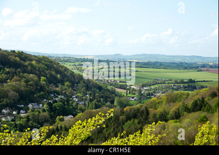 "Symond Yat Rock', Herefordshire, Stockfoto