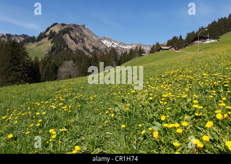 Mt. Unspitze und Starzelhaus Lodge in Baad, Kleinwalsertal Tal, Vorarlberg, Austria, Europe Stockfoto