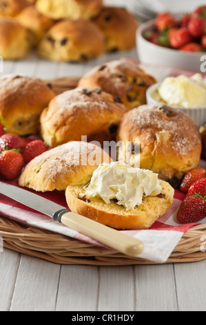 Kornische Safran Brötchen mit Clotted Cream regionale Küche UK Stockfoto