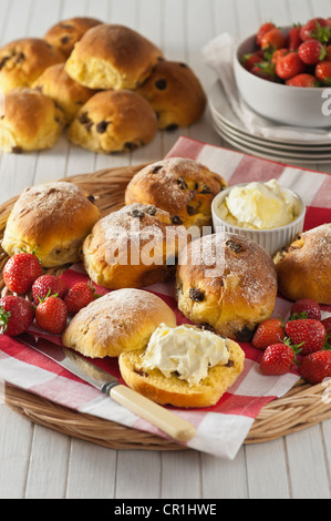 Kornische Safran Brötchen mit Clotted Cream regionale Küche UK Stockfoto