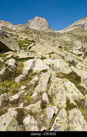 Spanien, Aragon, der 1807-2007 Candolle Expedition auf der ganzen Pyrenäen auf den Spuren von der Genfer Botaniker Augustin Pyramus Stockfoto