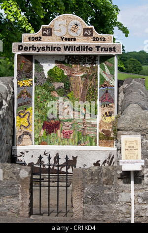 Gut dressing zum Gedenken an 50 Jahre Derbyshire Wildlife Trust, Ashford im Wasser, Derbyshire, England Stockfoto