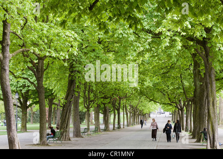 Schweiz, Genf, Parc des Bastions (Bastions Park), Bastionen zu Fuß mit seinen Kastanienbäumen Stockfoto