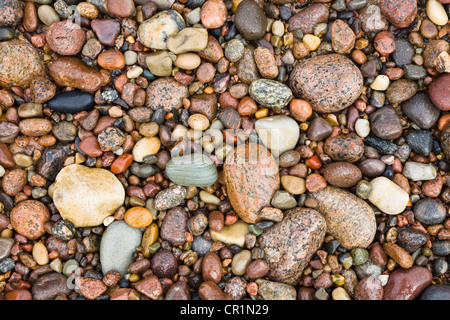 Steinen am Strand von Bornholm, Ostsee, Dänemark, Europa Stockfoto