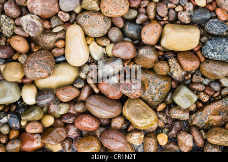 Steinen am Strand von Bornholm, Ostsee, Dänemark, Europa Stockfoto