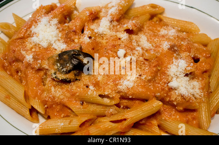 Penne Alla Wodka Stockfoto