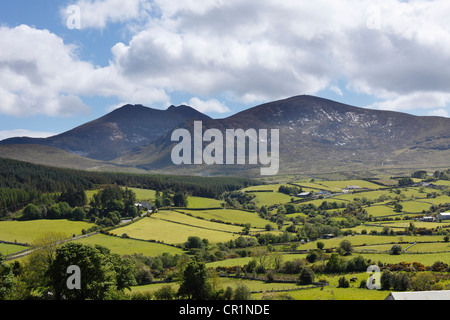 Mourne Mountains und Mt. Slieve Bearnagh, County Down, Nordirland, Irland, Großbritannien, Europa Stockfoto