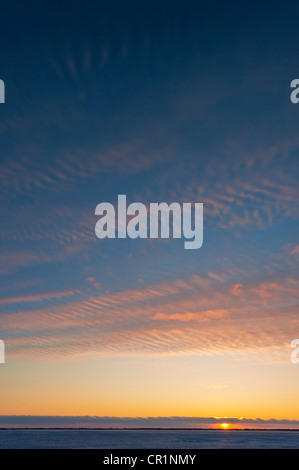 Kanadischen Prärien Pastell Sonnenuntergang Himmel über schneebedecktes Feld im Winter. Stockfoto