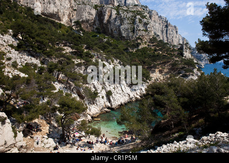 Kulturhauptstadt Europas 2013 Sugiton Calanque (Calanques Nationalpark seit, Marseille, Bouches-du-Rhône, Frankreich Stockfoto