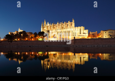 Kathedrale La Seu, Parc de Mar, Palma de Mallorca, Mallorca, Balearen, Spanien, Europa Stockfoto