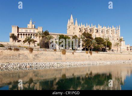 Kathedrale La Seu, Parc de Mar, Palma de Mallorca, Mallorca, Balearen, Spanien, Europa Stockfoto