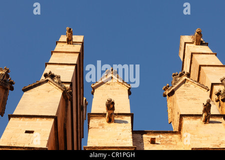 Wasserspeier an der Südfassade der Kathedrale La Seu, Palma de Mallorca, Mallorca, Balearen, Spanien, Europa Stockfoto