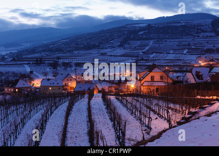 Schneebedeckten Weinberge in der Abenddämmerung, Weissenkirchen in der Wachau, Waldviertel, Wald-Viertel, Niederösterreich, Österreich Stockfoto