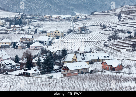 Weinberge mit Schnee bedeckt, Spitz, Wachau, Waldviertel, Wald-Viertel, Niederösterreich, Österreich, Europa Stockfoto