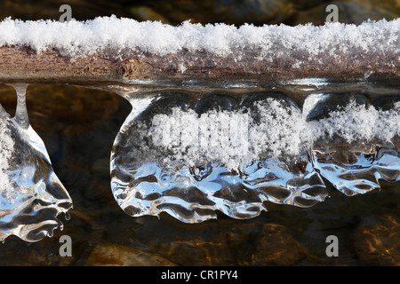 Isarauen, Eiszapfen an der Oberfläche des Wassers, Wiesen auf die Isar Fluss, Geretsried, Upper Bavaria, Bavaria, Germany, Europe Stockfoto