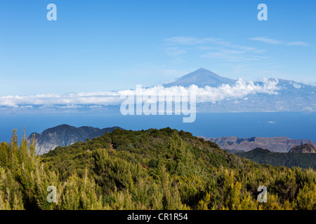 Garajonay Nationalpark, Blick vom Berg Garajonay, höchste Gipfel von La Gomera Insel, auf der Insel mit den Teide auf Teneriffa der Stockfoto