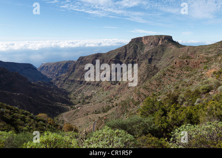 Barranco de Erque Canyon, Table Mountain Fortaleza La Gomera Insel, Kanaren, Spanien, Europa Stockfoto