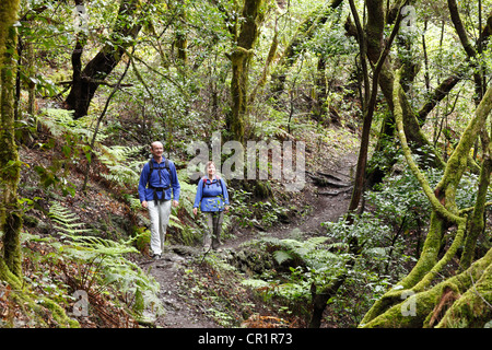 Mann und Frau auf einem Waldweg Wandern Wald, Lorbeer, Nationalpark Garajonay, La Gomera, Kanarische Inseln, Spanien, Europa Stockfoto