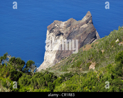 Roque de Los Organos oder Organ Pipe Rock, Blick vom Cumbre de Chijeré in Vallehermoso, La Gomera, Kanarische Inseln, Spanien, Europa Stockfoto