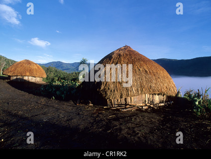 Irian Jaya, Indonesien Baliem Tal, Wamena, Papou Hütten Stockfoto