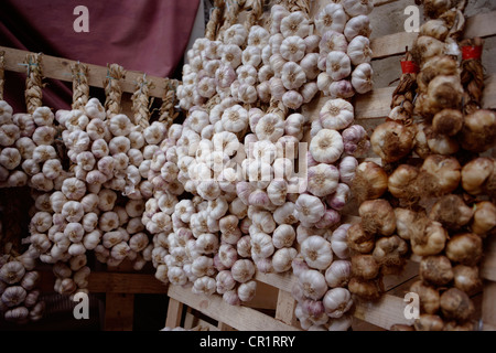 Stiele von Knoblauch und Zwiebeln zu verkaufen Stockfoto