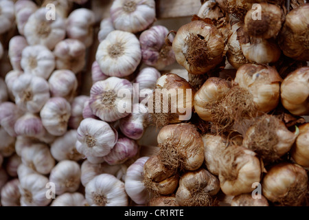 Stiele von Knoblauch und Zwiebeln zu verkaufen Stockfoto