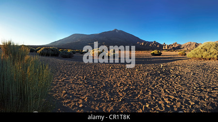 Abend im Teide-Nationalpark mit Berg Pico del Teide, Teneriffa, Kanarische Inseln, Spanien, Europa Stockfoto