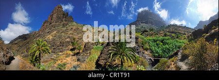 Barranco de Masca Schlucht, Teneriffa, Kanarische Inseln, Spanien, Europa Stockfoto