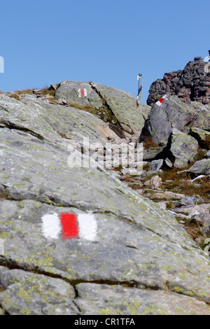 Wandern Wanderweg Zeichen auf Stein in den Alpen, fünf Seen Wandern Route, Pizol, Kanton St. Gallen, Schweiz, Europa, PublicGround Stockfoto