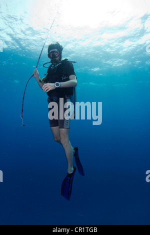 Sicherheits-Stopp für Taucher, Koen Traum Shark Point, Noonu Atoll, Malediven, Indischer Ozean Stockfoto