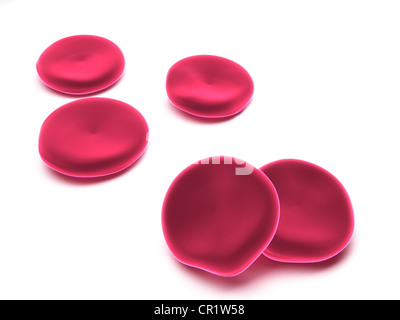 3D-Rendering, rote Blutkörperchen, Erythrozyten Stockfoto