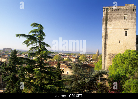 Frankreich, Vaucluse, Avignon, Panorama über die Stadt aus dem Garten genannt Jardin du Rocher des Doms Stockfoto