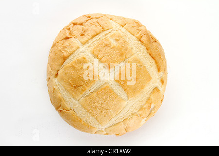 Brot-Boule sitzt auf einem weißen Hintergrund Stockfoto