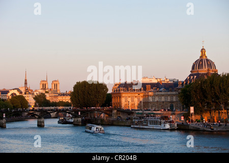 Frankreich, Paris, Seine Ufer, UNESCO-Welterbe, Kathedrale Notre-Dame Stockfoto