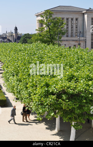 Mont des Arts im Zentrum von Brüssel.  Kunstberg.  Menschen, die ein Spaziergang in der Nähe von Bäumen und moderner Architektur. Stockfoto