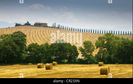 Heuballen Ernte Feld Stockfoto